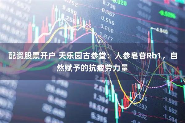 配资股票开户 天乐园古参堂:人参皂苷Rb1,自然赋予的抗疲劳力量